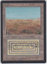 Scrubland 【NM〜NM-】 A (LEB)【☆高額トレジャー☆】