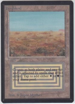 画像1: Scrubland 【NM〜NM-】 A (LEB)【☆高額トレジャー☆】