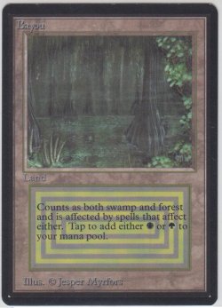 画像1: Bayou 【NM〜NM-】 A (LEB)【☆高額トレジャー☆】