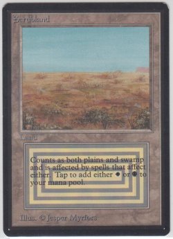 画像1: Scrubland 【NM〜NM-】 B (LEB)【☆高額トレジャー☆】