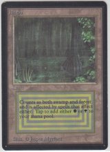 Bayou 【EX〜EX-】 B (LEB)【☆高額トレジャー☆】