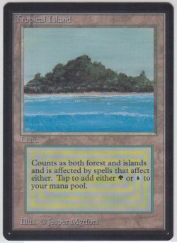 画像1: Tropical Island 【NM〜NM-】 B (LEB)【☆高額トレジャー☆】