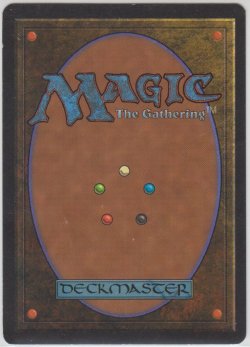 画像2: Scrubland 【HPLD】 D (LEB)【☆高額トレジャー☆】