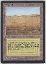 Savannah 【NM〜NM-】 A (LEB)【☆高額トレジャー☆】