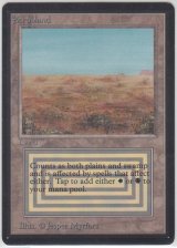 Scrubland 【HPLD】 D (LEB)【☆高額トレジャー☆】