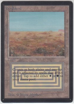 画像1: Scrubland 【HPLD】 D (LEB)【☆高額トレジャー☆】