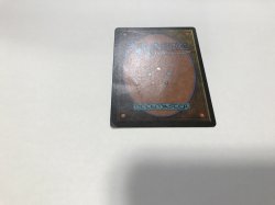 画像4: Scrubland 【HPLD】 D (LEB)【☆高額トレジャー☆】