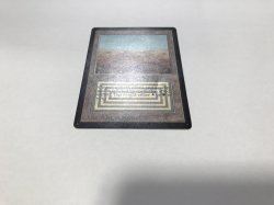 画像3: Scrubland 【HPLD】 D (LEB)【☆高額トレジャー☆】