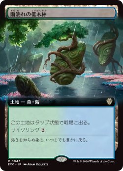 画像1: 雨濡れの低木林/Rain-Slicked Copse (ECC)【拡張アート版】