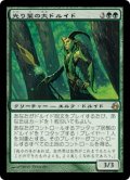 光り葉の大ドルイド/Gilt-Leaf Archdruid (MOR)《Foil》