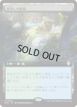 画像1: 水浸しの新緑/Sodden Verdure (ECC)【拡張アート版】