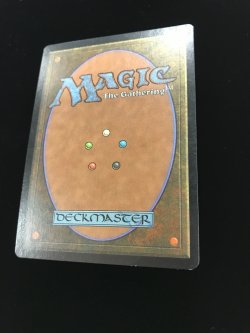 画像3: ヒッコリーの植林地/Hickory Woodlot (MMQ)《Foil》【HPLD】【ジョニーのおすすめ】