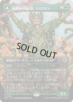 画像1: 無感情の栽培者、トリスタン/Trystan, Callous Cultivator (ECL)【ボーダーレス版】《Foil》