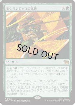 画像1: ミケランジェロの奥義/Michelangelo's Technique (TMT)