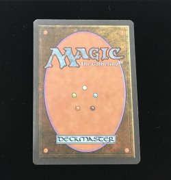 画像2: Tundra (3ED)【他言語特集】