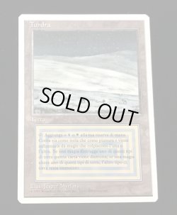 画像1: Tundra (3ED)【他言語特集】