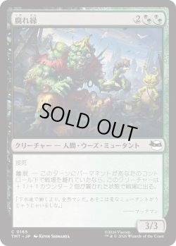 画像1: 腐れ縁/Putrid Pals (TMT)