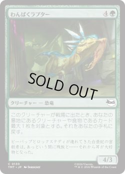 画像1: わんぱくラプター/Ragamuffin Raptor (TMT)