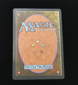 画像2: Scrubland (3ED)【他言語特集】