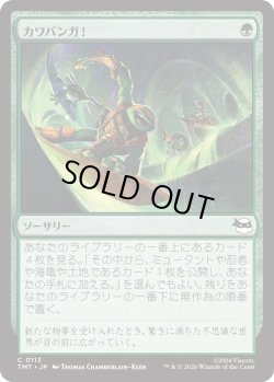 画像1: カワバンガ！/Cowabunga! (TMT)