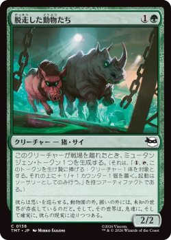 画像1: 脱走した動物たち/Zoo Escapees (TMT)