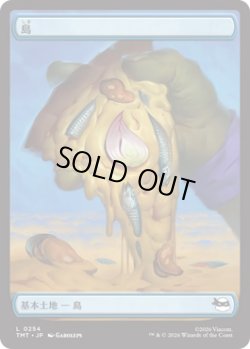 画像1: 島/Island 【No.254】 (TMT)《Foil》