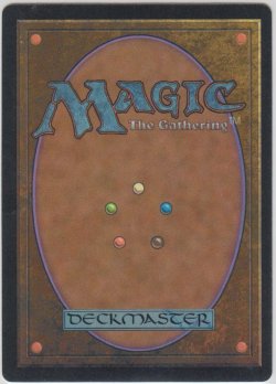 画像2: 動く壁/Animate Wall (4ED)【アルターネイト版】