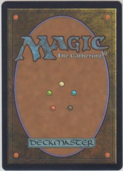 画像2: 沼/Swamp (GURU Land)【カウントダウン】