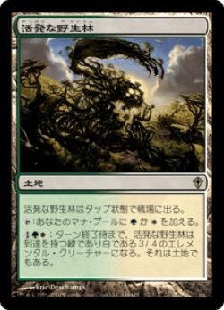 画像1: 活発な野生林/Stirring Wildwood (WWK)