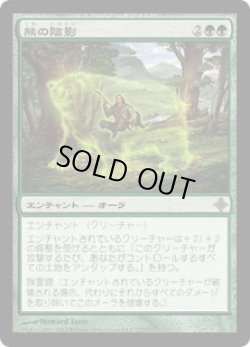 画像1: 熊の陰影/Bear Umbra (ROE)