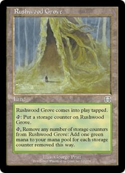 画像1: ラッシュウッドの木立ち/Rushwood Grove (MMQ)《Foil》