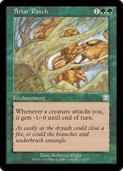 画像1: 茨の茂み/Briar Patch (MMQ)《Foil》