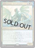 証明するもの、クアンドリクス/Quandrix, the Proof (SOS)
