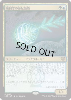 画像1: 幾何学の節足動物/Geometer's Arthropod (SOS)