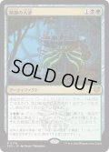精髄の大釜/Cauldron of Essence (SOS)