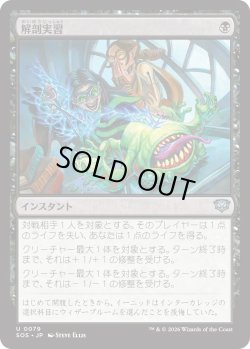 画像1: 解剖実習/Dissection Practice (SOS)