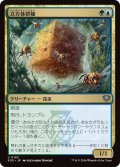 立方体群棲/Cuboid Colony (SOS)