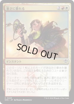 画像1: 暑さに萎れる/Wilt in the Heat (SOS)