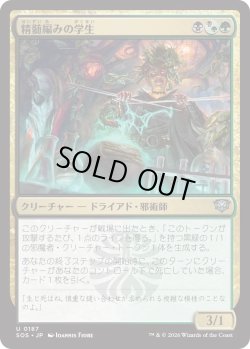 画像1: 精髄編みの学生/Essenceknit Scholar (SOS)