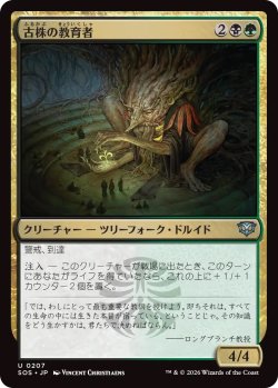 画像1: 古株の教育者/Old-Growth Educator (SOS)