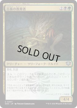 画像1: 古株の教育者/Old-Growth Educator (SOS)