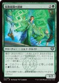 装飾庭園の講師/Topiary Lecturer (SOS)
