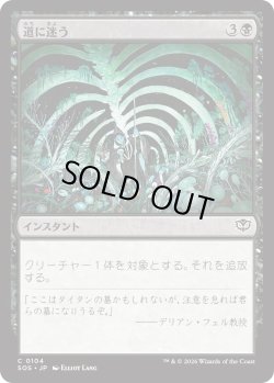 画像1: 道に迷う/Wander Off (SOS)