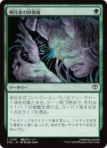 神託者の回復術/Oracle's Restoration (SOS)