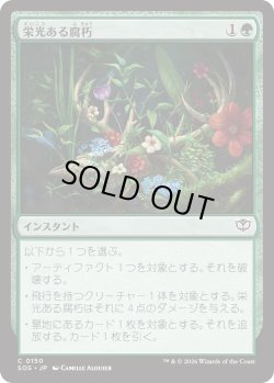 画像1: 栄光ある腐朽/Glorious Decay (SOS)