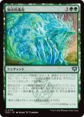 加法的進化/Additive Evolution (SOS)