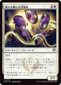 稽古を積んだ討論者/Rehearsed Debater (SOS)