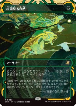 画像1: 垣間見る自然/Glimpse of Nature (SOA)【グローバル版】《Foil》