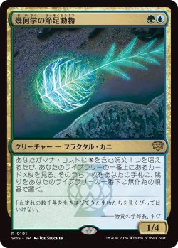 画像1: 幾何学の節足動物/Geometer's Arthropod (SOS)《Foil》