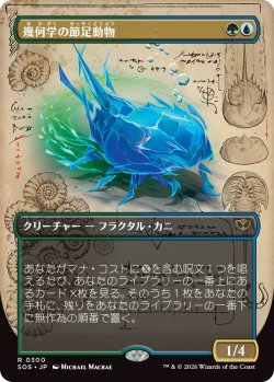 画像1: 幾何学の節足動物/Geometer's Arthropod (SOS)【ボーダーレス版】